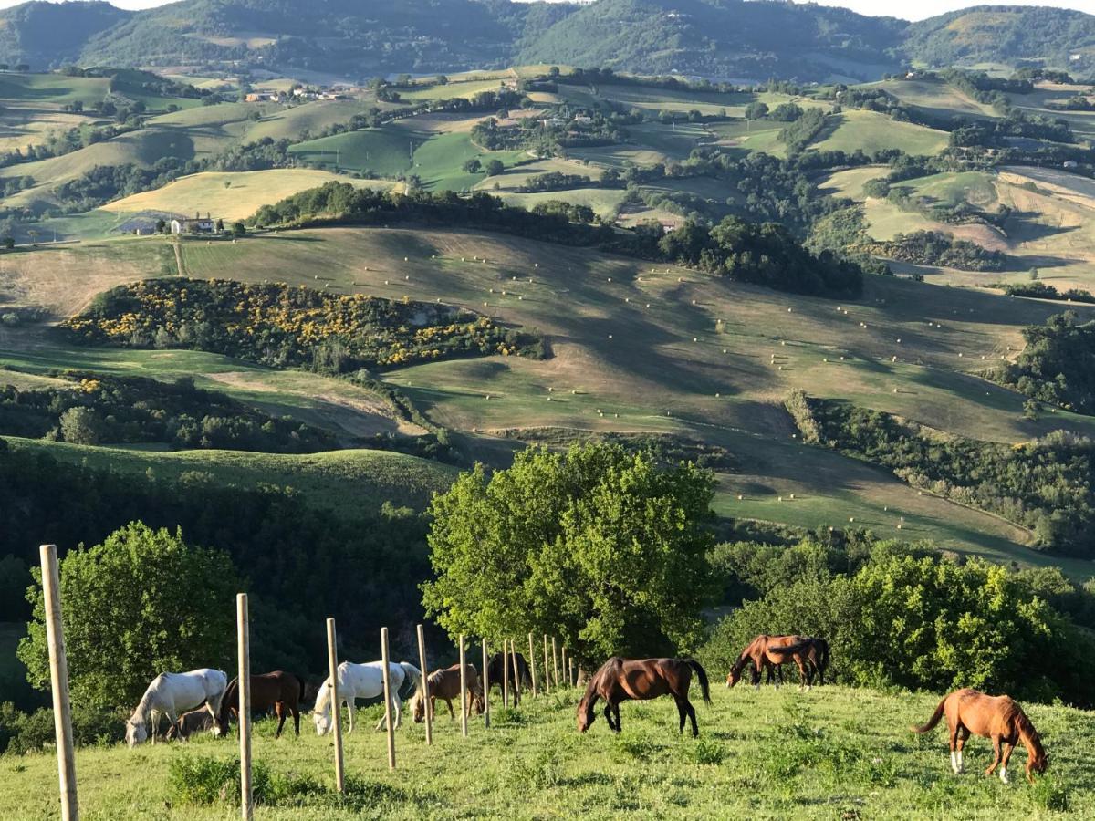 Вилла Agriturismo "Le Cannelle" Spa & Day Wellness Фоссомброне Экстерьер фото